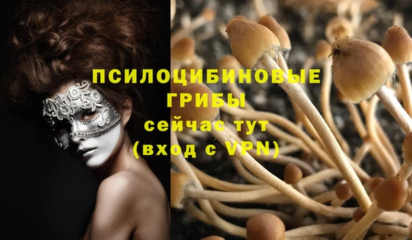 бошки Медвежьегорск