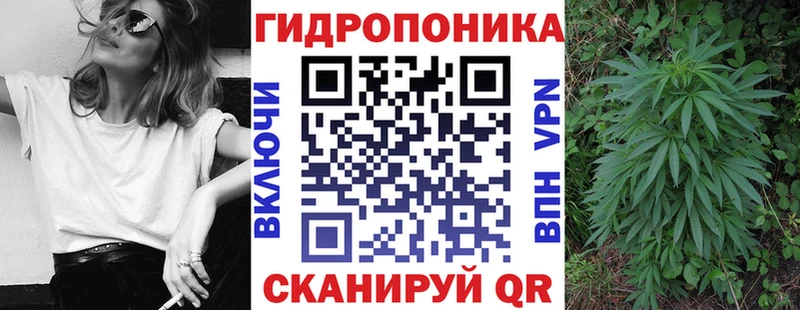 Купить закладки  Валдай  Бошки Шишки гибрид 